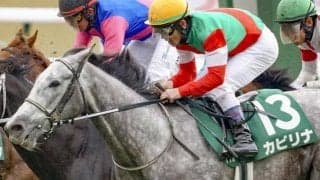 【ヴィクトリアM】ヒダカBUが8年ぶりJRA・GI制覇なるか 函館SS覇者のカピリナが参戦