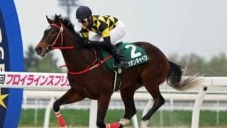 「ドッカンキャベツ」がデビュー勝ち ホットロッドチャーリー産駒の勝ち上がり第2号