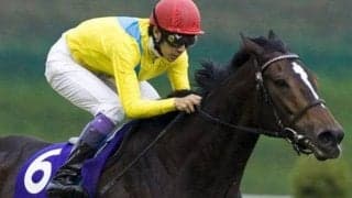 ヴィクトリアM着差ランキング 1位はウオッカの圧巻V