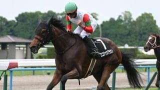 【ヴィクトリアM予想】臨戦過程や脚質にポイントあり AIが選ぶ本命馬は