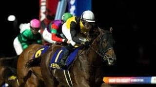 【エンプレス杯】ルメール「すごい脚でした」メモリアカフェが交流重賞3勝目