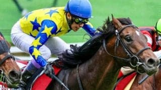 24年青葉賞を制した超良血馬 シュガークンが新潟大賞典で約2年ぶりの復帰戦だ