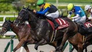 川田将雅騎手 ヴィクトリアマイルでJRA牝馬限定GI全制覇なるか