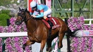【ヴィクトリアM出走馬・騎手確定】エンブロイダリー＆C.ルメール騎手、カムニャック＆川田将雅騎手など18頭