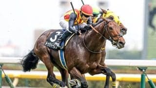 【新潟大賞典出走馬・騎手確定】ドゥラドーレス＆C.ルメール騎手、シュガークン＆武豊騎手など15頭