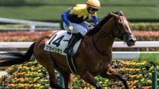 半兄は日本ダービー馬のマカヒキ クカイリモクが初勝利なるか