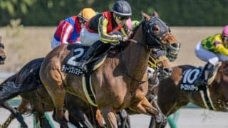 兄姉2頭は海外G1勝ち馬 ディーンズリスターが約4年ぶりの2勝目なるか