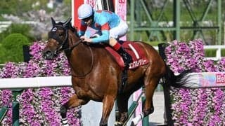 【ヴィクトリアM枠順確定】エンブロイダリーは6枠12番、カムニャックは4枠8番