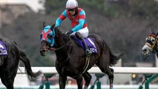 【京都HJ枠順確定】ネビーイームは4枠4番、シホノスペランツァは5枠5番