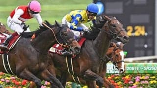 【新潟大賞典枠順確定】シュガークンは8枠15番、ドゥラドーレスは4枠6番