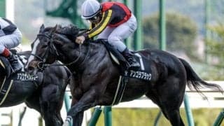 【新潟大賞典予想】前走で大敗した関東馬には要注意！ 今の新潟の馬場も不向きな軽視すべき人気馬