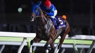 【平安S想定馬・騎手】ナルカミ、ロードクロンヌなど19頭