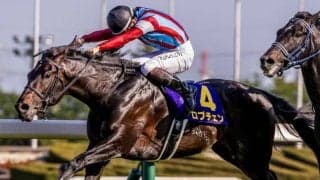 【日本ダービー想定馬・騎手】ロブチェン、コンジェスタスなど20頭