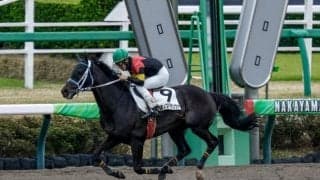 【京都HJ予想】名物障害コースに実力馬集う 三段跳び攻略が焦点