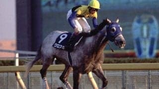 5月17日は「大谷翔平の日」 異なるカテゴリーで活躍した競馬界の“二刀流”たち