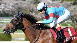 【ヴィクトリアマイル・馬体重】エンブロイダリーは492kg(-4)、カムニャックは492kg(-6)