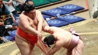 炎鵬、会心の相撲で連敗ストップ６勝目　充実の本場所に「もう中日なんですね、早いですね」