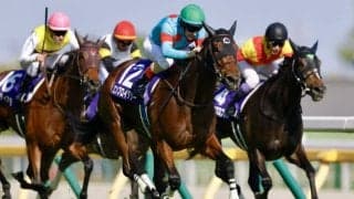 【ヴィクトリアマイル】ルメール＆エンブロイダリーが鮮やか差し切りV…G1・3勝目をマーク