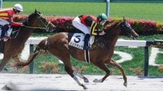 【東京6R】レーン騎乗、ジュワネングが力強く差し切る
