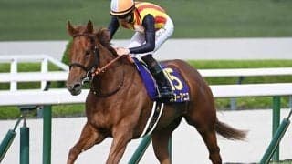 3歳女王決定戦・オークスと平安S/今週の競馬界の見どころ