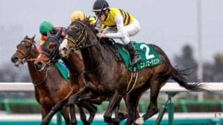 【先週のJRA抹消馬】25年京成杯を制したニシノエージェント、ダート中距離で4勝のクラウンシエンタ