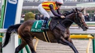 歴代最多タイのオークス5勝目へ C.ルメール騎手がドリームコアで参戦だ