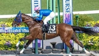 【平安S展望】好走条件を全て満たすナルカミの巻き返しに期待