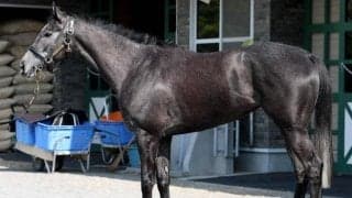 馬体重次第で「オークスでも大いにチャンス」 馬体派記者も推す2戦2勝の惑星馬