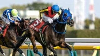 【オークス展望】フローラS勝ちのラフターラインズが戴冠を狙う