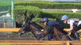 バステール、日本ダービー1週前追い切り速報/栗東トレセンニュース