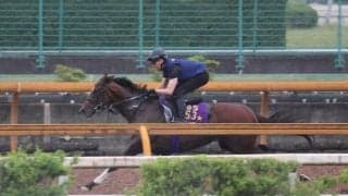 アドマイヤズーム、安田記念2週前追い切り速報/栗東トレセンニュース