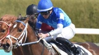 全兄はアリストテレス コンフェルマが1年1カ月ぶり復帰戦で障害デビューだ