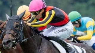 半姉は名牝リバティアイランド マディソンガールが半年ぶり復帰戦だ