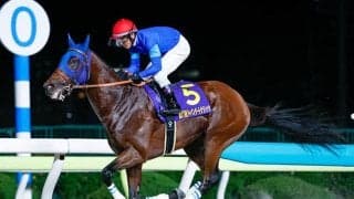 【平安S枠順確定】ナルカミは8枠15番、ロードクロンヌは7枠14番