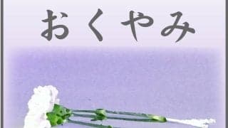 30歳の総合格闘家が湖で溺死　少女４人を救出後に帰らぬ人に