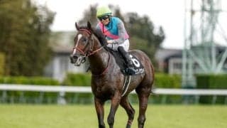 【葵S想定馬・騎手】ウチュウノセカイ、エイシンディードなど22頭
