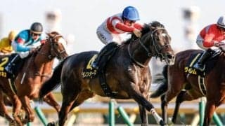 【目黒記念想定馬・騎手】ダノンシーマ、ファイアンクランツなど15頭
