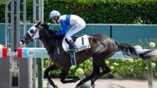 【平安S予想】帝王賞への重要なステップレース 先行力を重視したい京都1900m戦