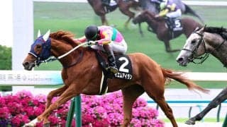 【京都９Ｒ・メルボルンＴ】８番人気の伏兵テイエムアイランがまんまと逃げ切り　松山弘平騎手「最後までしぶとく、強かった」