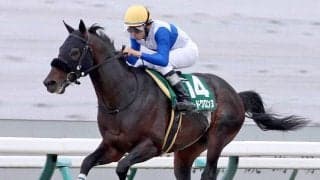 【平安Ｓ】ロードクロンヌが悠々と３馬身半差で重賞２勝目　「このクラスだと力上位」横山和生騎手も手応え十分
