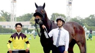 【東京１１Ｒ・欅Ｓ】斤量５９キロのドンインザムードが７馬身差ぶっちぎりＶ　荻野極騎手「反応も良かったし強い内容」