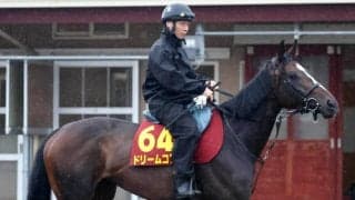 【オークス・土曜気配】ドリームコアは美浦・Ｗコースで軽快な最終調整　陣営「いい状態で出られる」