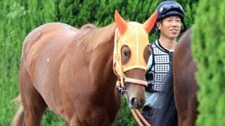 【オークス・土曜気配】スターアニスは初の関東輸送を無事にクリア　陣営「すごく落ち着いていた」