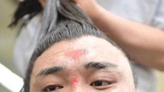 夏場所の優勝どうやって決まる？　多ければ６人の優勝決定戦…幕内から序ノ口までを全解説