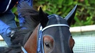 【京都６Ｒ・３歳１勝クラス】オヤツノジカンからのボクマダネムイヨ　小田切光オーナー所有の珍名馬が京都で２勝