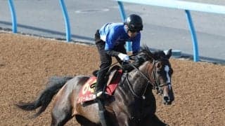 日曜東京競馬場の注目激走馬…東京１１Ｒオークス・Ｇ１