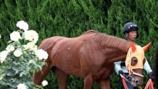【オークス】１番人気の桜花賞馬スターアニスはまさか１２着「調教師として申し訳なく思います」高野調教師が敗戦の弁