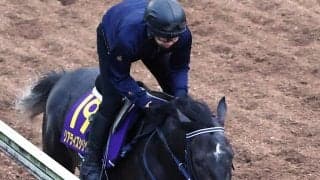 【日本ダービー・日曜気配】坂路で軽快な動き！リアライズシリウスは皐月賞以上の出来　陣営「何も言うことない状態」