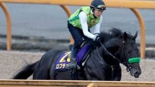 【日本ダービー・日曜気配】皐月賞馬ロブチェンは前走と同様にＣＷコースでリズム重視　陣営「動きの質がいい」