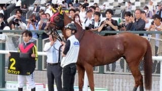 【京都１１Ｒ・都大路Ｓ】ガイアメンテがレコード勝ち　団野騎手「この年齢でもまだまだ元気いっぱい」